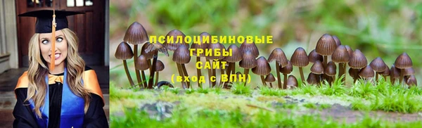 таблы Алексин