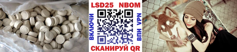 как найти наркотики  darknet Telegram  LSD-25 экстази ecstasy  Покров 