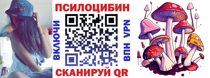 Псилоцибиновые грибы Psilocybe  наркотики  Покров 