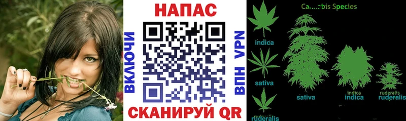 мега tor  как найти наркотики  Покров  Конопля SATIVA & INDICA 